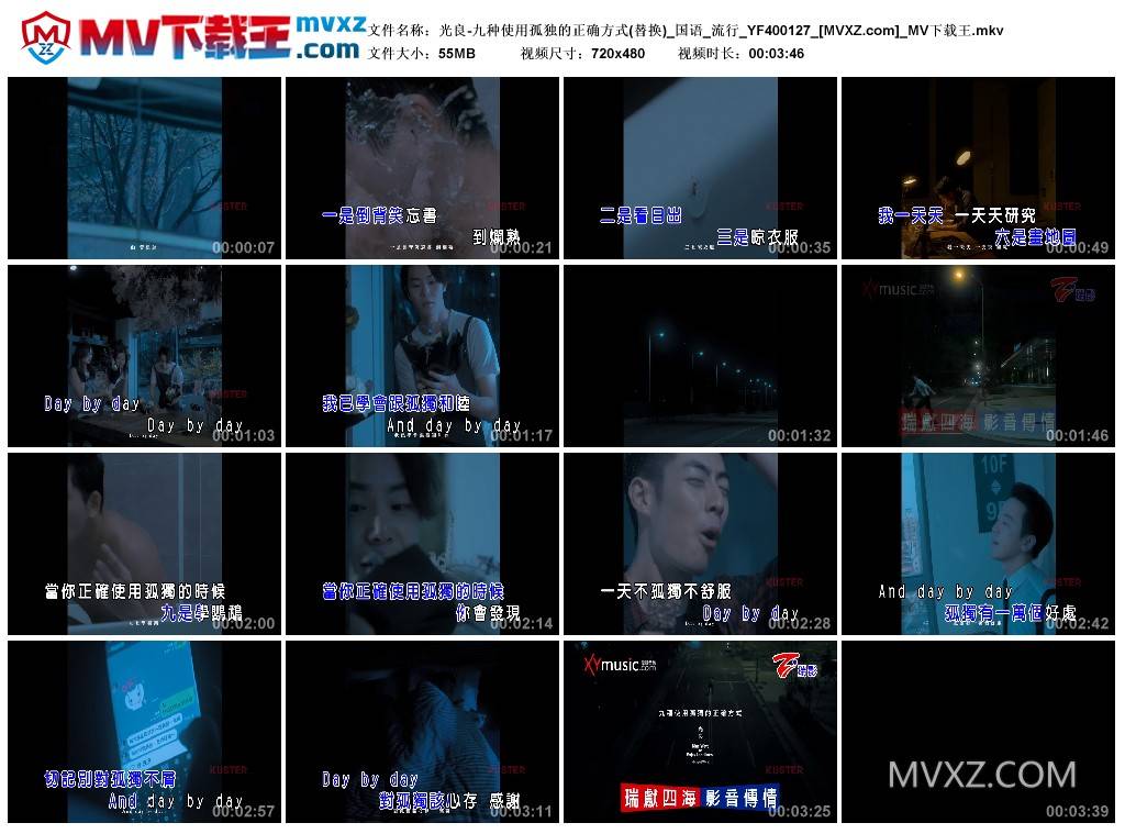 光良-九种使用孤独的正确方式(替换)_国语_流行_YF400127